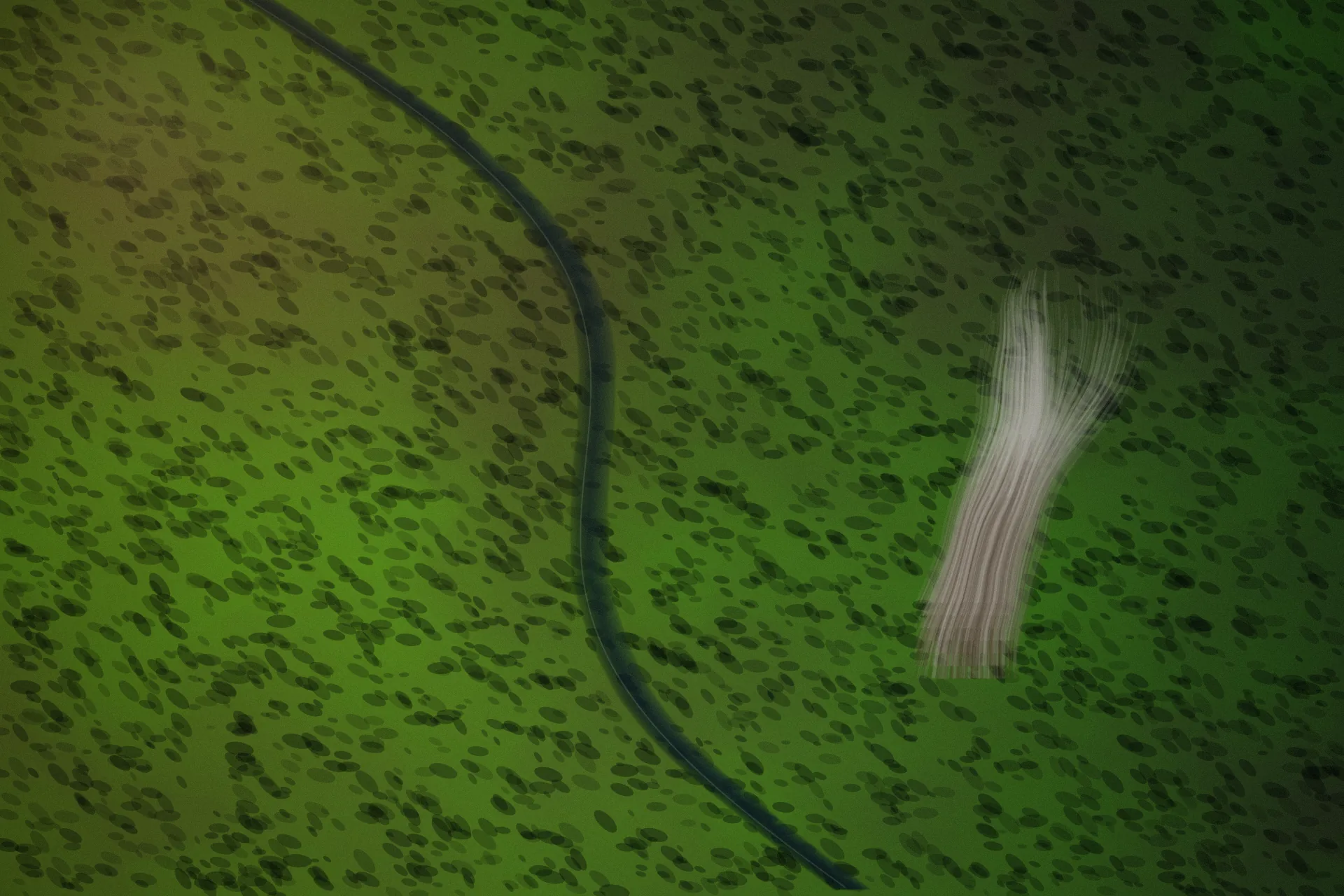 Aerial late-day view of continuous Amazon rainforest cut by a dark river, with one smoke column rising from the canopy.