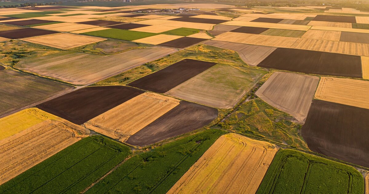 Aerial view of midwestern farmland parcels at golden hour showing varying crop stages and soil colors