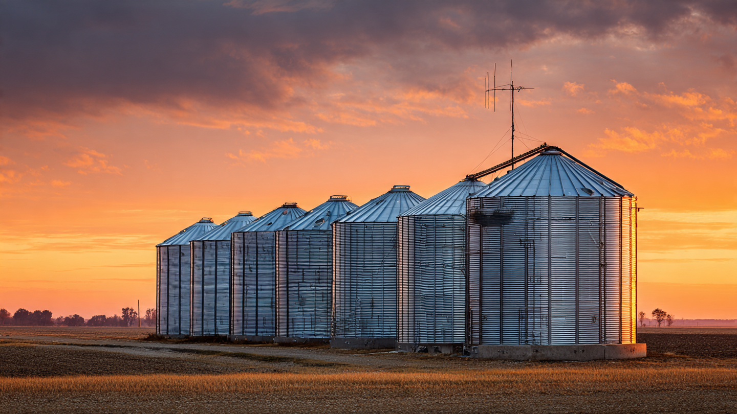 Row of steel grain bins on a Midwestern farm at sunset with wireless sensor antennas visible on the roofs